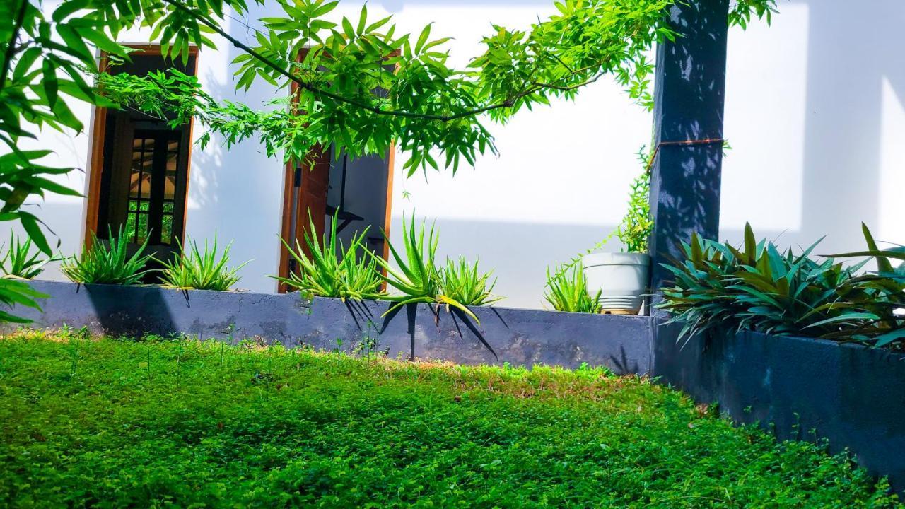 Greenville Resort And Spa 丹不拉 外观 照片