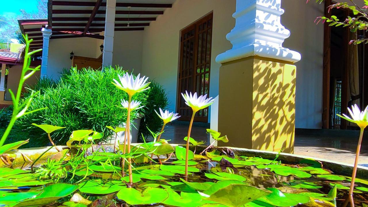 Greenville Resort And Spa 丹不拉 外观 照片